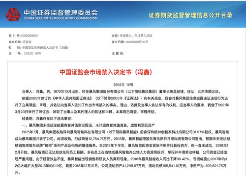 启迪环境涉嫌信披违法被处罚预告 投资者索赔将启动