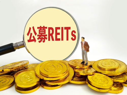 公募REITs有多火？两家5A景区发布招标公告